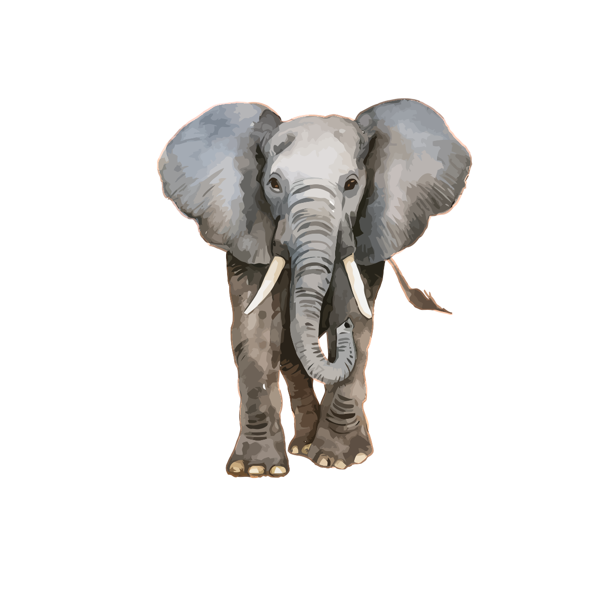 Tierillustration