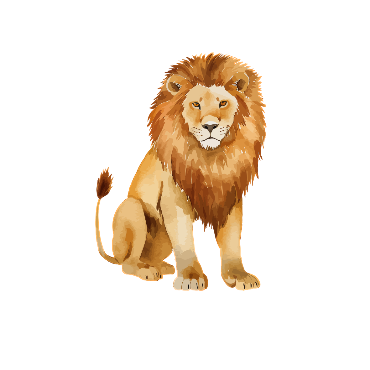 Tierillustration